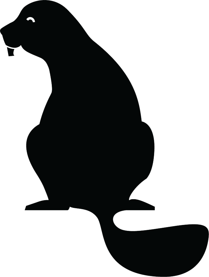 Beaver Works Summer Institute Online